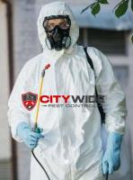 City Wide Pest Control Adelaide image 5